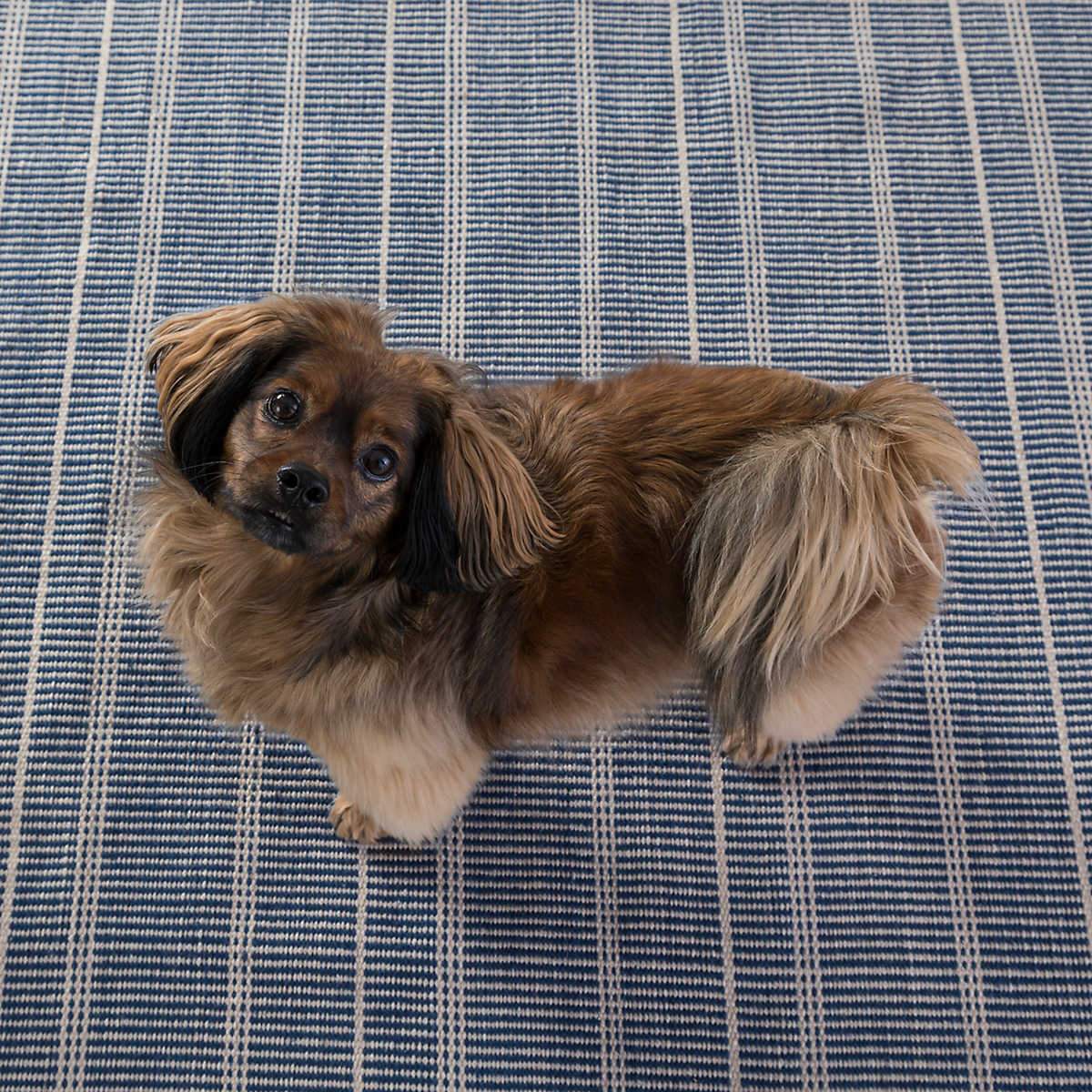 Samson Navy Indoor/Outdoor Rug