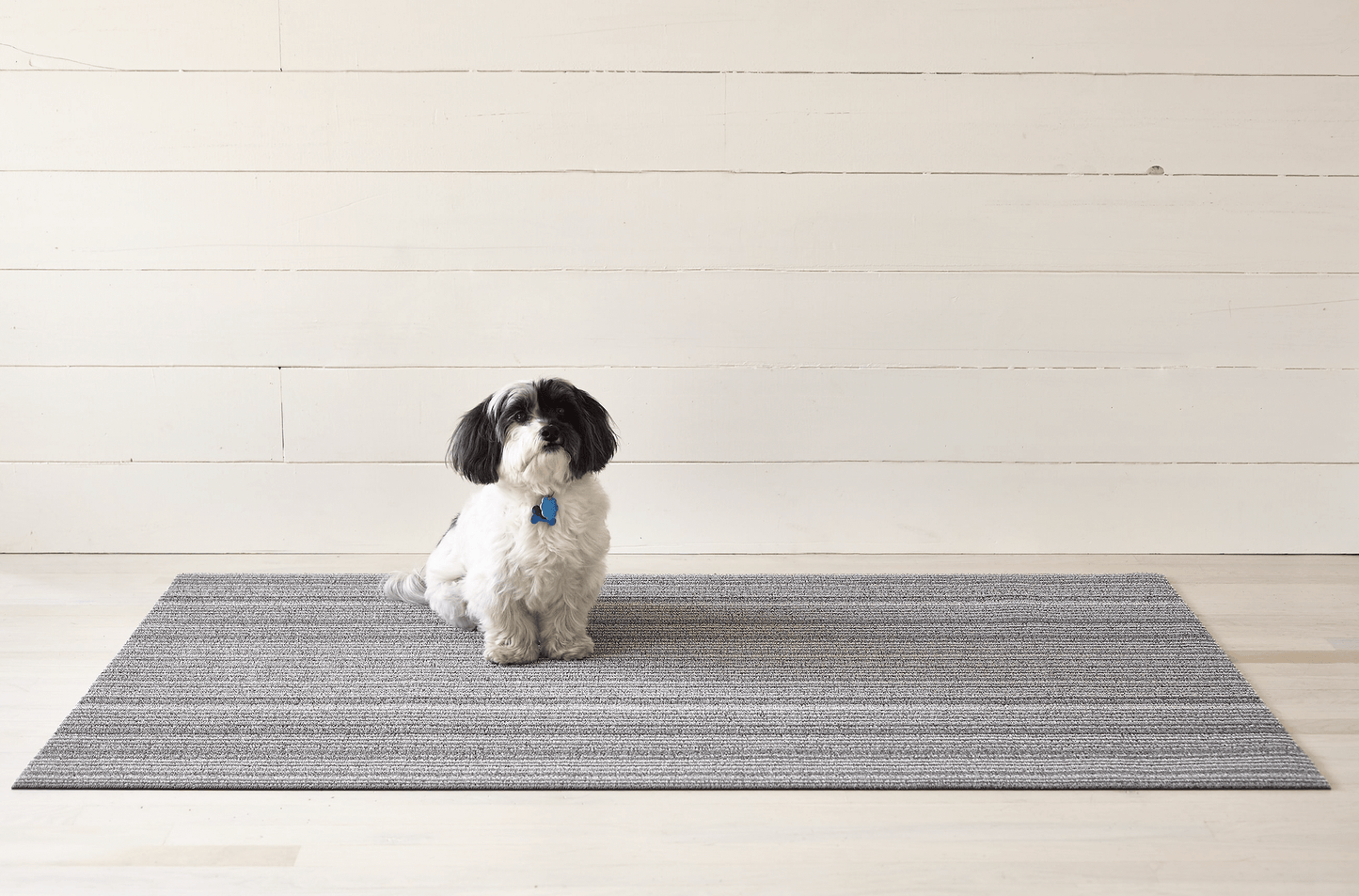 Skinny Stripe Shag Rug