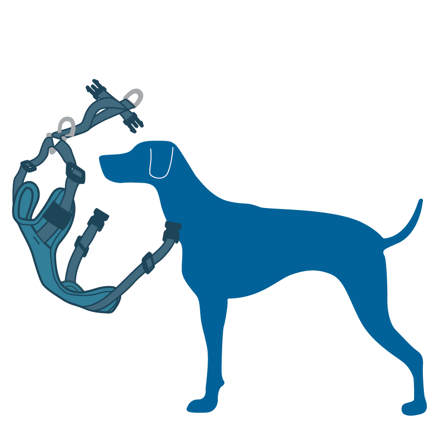 RC Pets Moto Control Car Harness for Dogs in Black and Grey