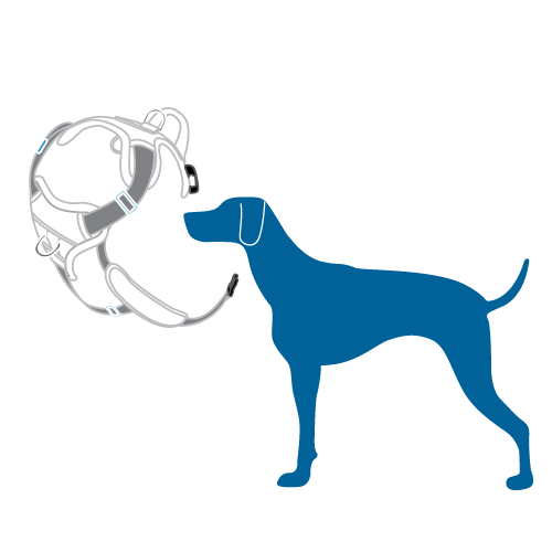 RC Pets Momentum Control Harness for Dogs in Sapphire