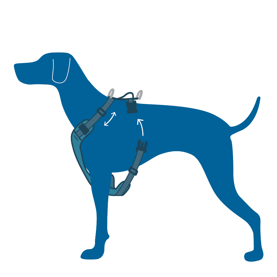 RC Pets Moto Control Car Harness for Dogs in Black and Grey