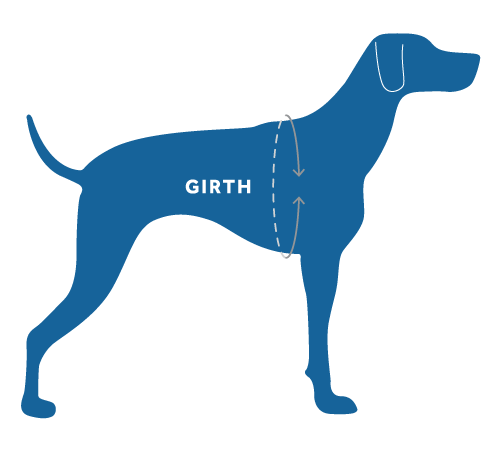 RC Pets Moto Control Car Harness for Dogs in Black and Grey