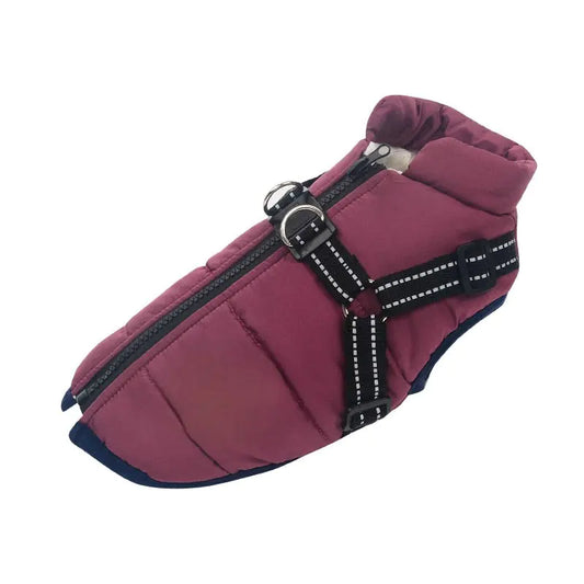Winter Dog Jacket Purple