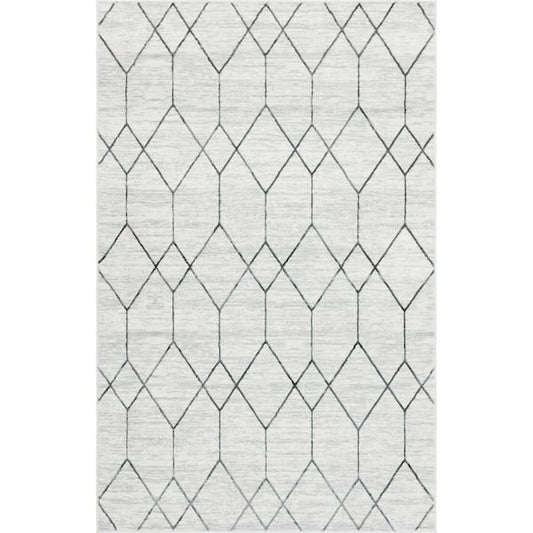 4 ft x 6 ft Rectangle Throw Area Rug Matrix Trellis, White